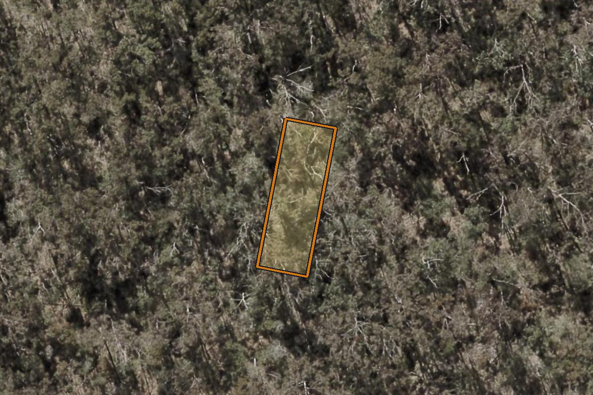 Aerial photo of 14 Magenta Street, Greenbank QLD 4124 with the lot boundary outlined in amber